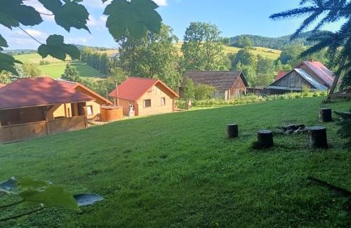 Baligrod Apartment | BIESZCZADZKA Antosiówka