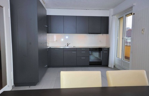 Muhlebach Apartment | Big 1BR apartment in the center (Mill 3.55)