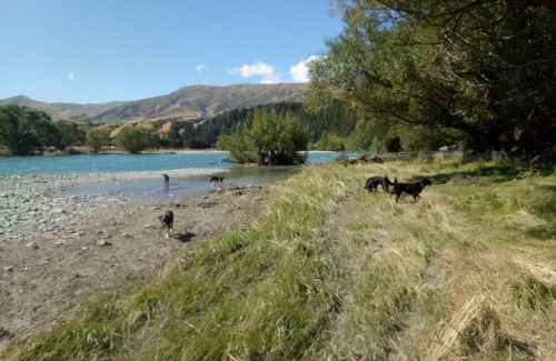 Luggate Cabin | BIG DOGS Homestay