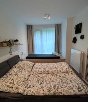 Dolni Morava Apartment | Bike & Ski MOSS Apartment