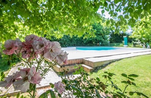 Porto Levante Apartment | bilocale 1 - Borgo del Nibbio