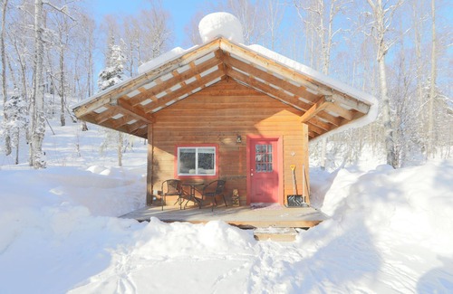 Talkeetna Cabin | Birch Cabin Ensuite with Shower-Queen