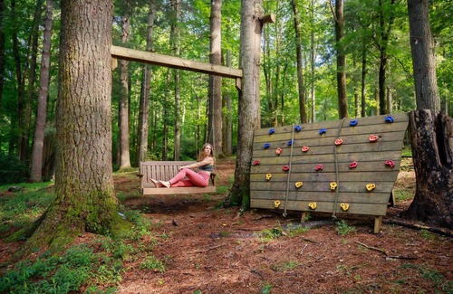 Saluda Cabin | Bird's Nest cabin at Cabin Fever in NC!
