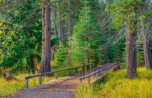 Black Butte Ranch House | Black Butte Ranch: Hawks Beard Home