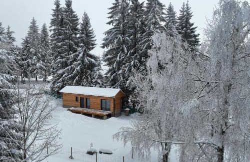 Nova Ves nad Nisou House | black well