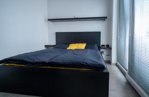 Nova Ves nad Nisou House | black well