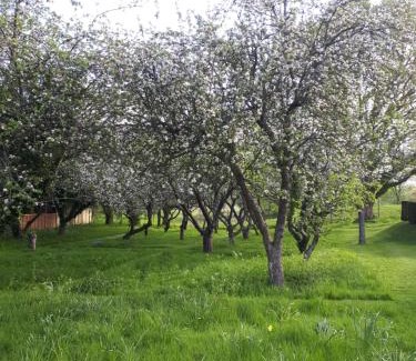 Dorking Bed & Breakfast | Blackbrook House