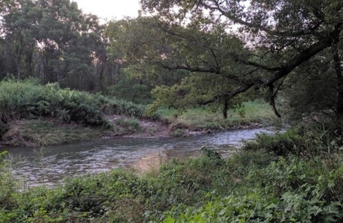 Viroqua RV Rental | Blakley Hobbit Campground-Tent spot #6