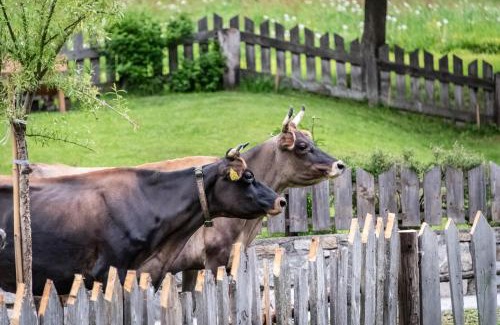 Val di Vizze Apartment | Blasighof