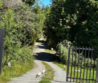 Quellon Ski Chalet | Blue Cabaña - La Herradura