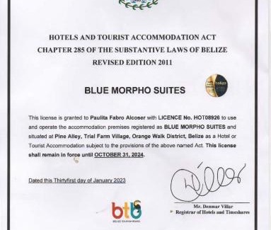 Orange Walk Apartment | Blue Morpho Suite