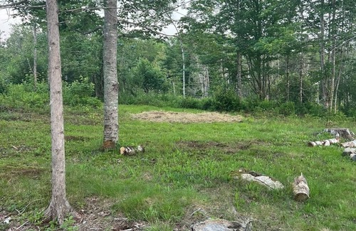 Columbia Falls RV Rental | Blueberry Woodland Hideaway Camping Spot 1