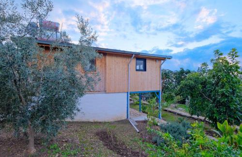 Faralya Apartment | BlueSea Faralya -Mercan