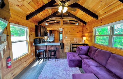 Twin Mountain Cabin | BMV4 Awesome "Tiny Home" A/C, Mountain Views, Minutes to Skiing, Hiking, Attractions, Dog Friendly!