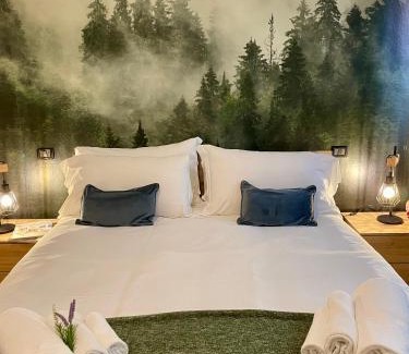 Sesto Calende Apartment | Bnbook Blue River -2 bedrooms and private parking
