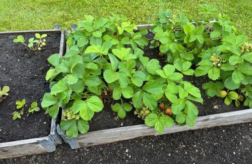 B House | Bo komfortabelt i Bø, på ferie eller jobb