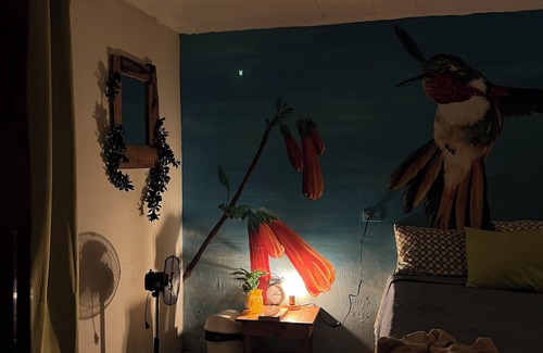 Boquete Bed & Breakfast | Boho By Arte Hostal
