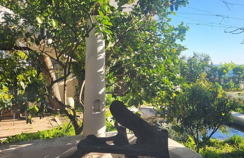 Posillipo Apartment | Bonbon of Posillipo in Naples