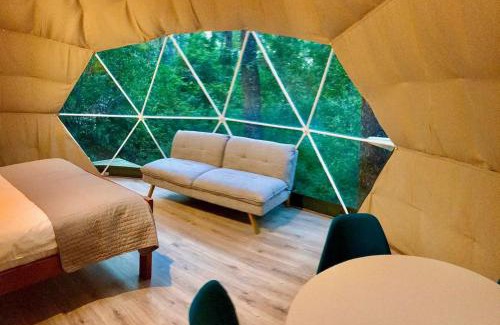 Pinto Cabin | Bosque Vivo