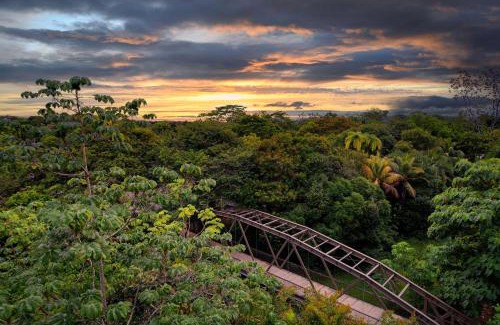 Puerto Jimenez Resort | Botanika Osa Peninsula, Curio Collection By Hilton