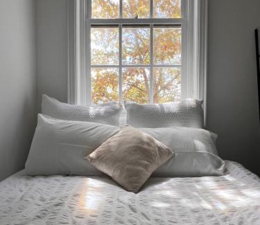 Darlinghurst Apartment | Boutique Apartment in Darlinghurst
