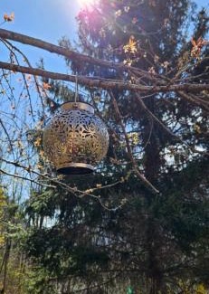 Mesocco Bed & Breakfast | Boutique B&B La Quiete del Bosco - A Plant Based Stay