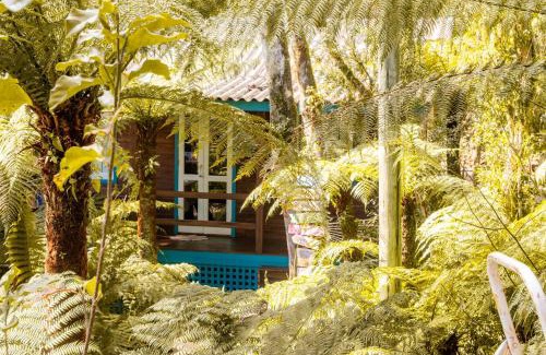 Sao Francisco de Paula Ski Chalet | Boutique Bangalôs De São Chico