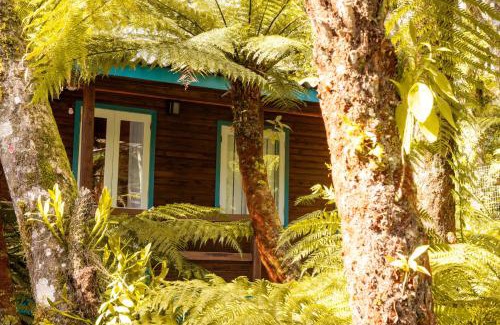 Sao Francisco de Paula Ski Chalet | Boutique Bangalôs De São Chico