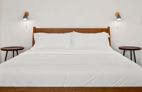 North Downtown Hotel | Boutique Room steps from Downtown Mall Rose Jean Room 2