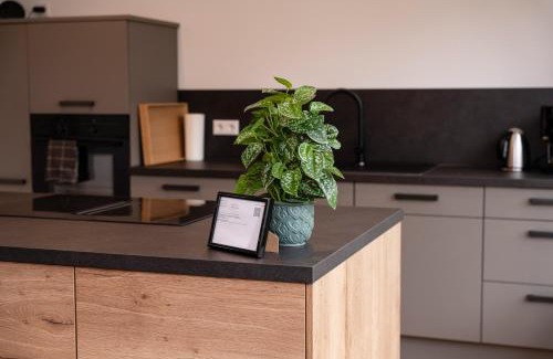 Tauberbischofsheim Apartment | Boutique Studio im Herzen TBBs