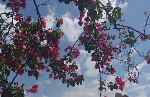 Parque dos Cafezais II Cottage | Country house ideal for those seeking tranquility and comfort