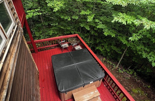 Davis Cabin | Branching Out Chalet