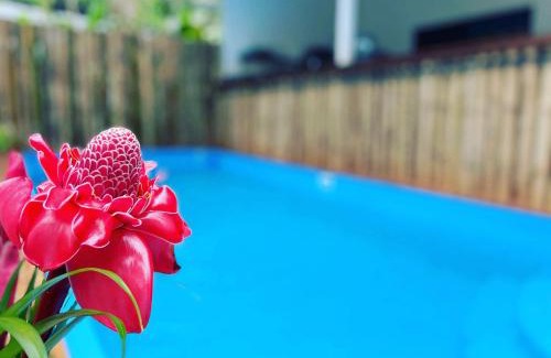 Cocles Apartment | Brand new huge apt with Air Conditioner and a private pool and kitchen