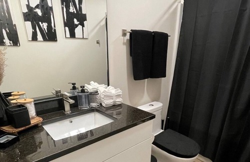 St. Louis Apartment | BRAND NEW. Modern 1BR/1BA Apartment in St. Louis, MO