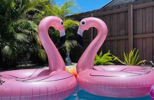 Oakland Park Apartment | Brand New Studio with Pool Access