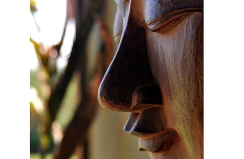 Coolangatta Cottage | Branwens Retreat- the perfect escape near Berry