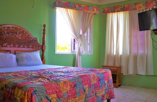Greenwood House | Breathtaking Views Emerald Views! Attention Eco Tourism lovers!