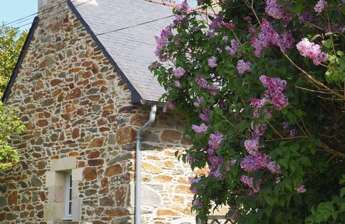 Plestin-les-Greves Cottage | Breton cottage 300m from the beach, near the Côte de Granit Rose