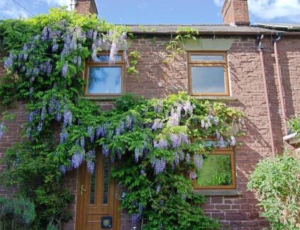Mitcheldean House | Bridge Cottage Hot tub Enclosed garden Tranquility