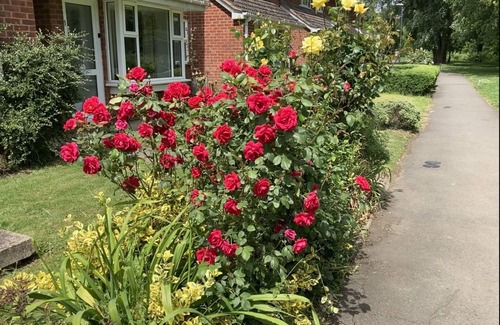 Frampton on Severn House | Bright an airy with a luxury Super King bed and a beautiful cottage garden.