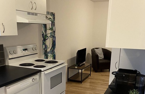 Mauricie Apartment | Bright apartment with balcony - CITQ311565