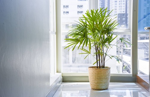 Ratchadaphisek Apartment | Bright Double Room close to everything| MRT-Huai Khwang | 302