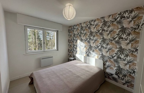 Mulhouse Apartment | Bright F2 with balcony - comfort and convenience