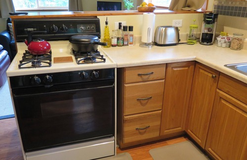 Alyeska Cabin | Bright, open Girdwood studio