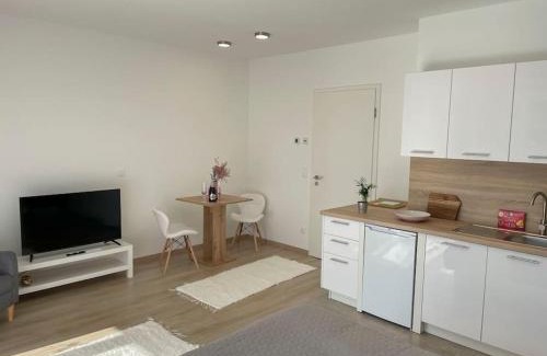 Vizafogo Apartment | Bright Riverside Studio, Balcony, Free Parking, Air Conditioning