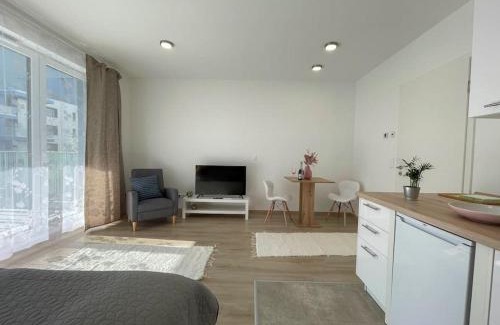 Vizafogo Apartment | Bright Riverside Studio, Balcony, Free Parking, Air Conditioning