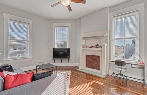 Springfield Apartment | Bright & spacious apt - very pet friendly!