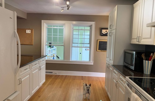 North Stamford House | Bright Stylish Chic 4BR 4BA Home Pet Friendly!