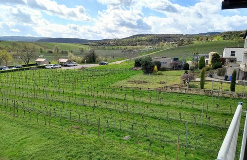 Kallstadt Condo | Bright vacation apartment * (DTV classification), balcony w. View of the vineyards