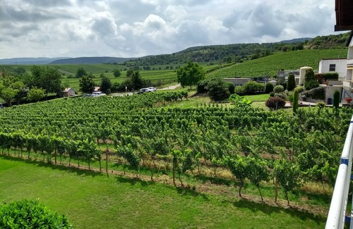 Kallstadt Condo | Bright vacation apartment * (DTV classification), balcony w. View of the vineyards